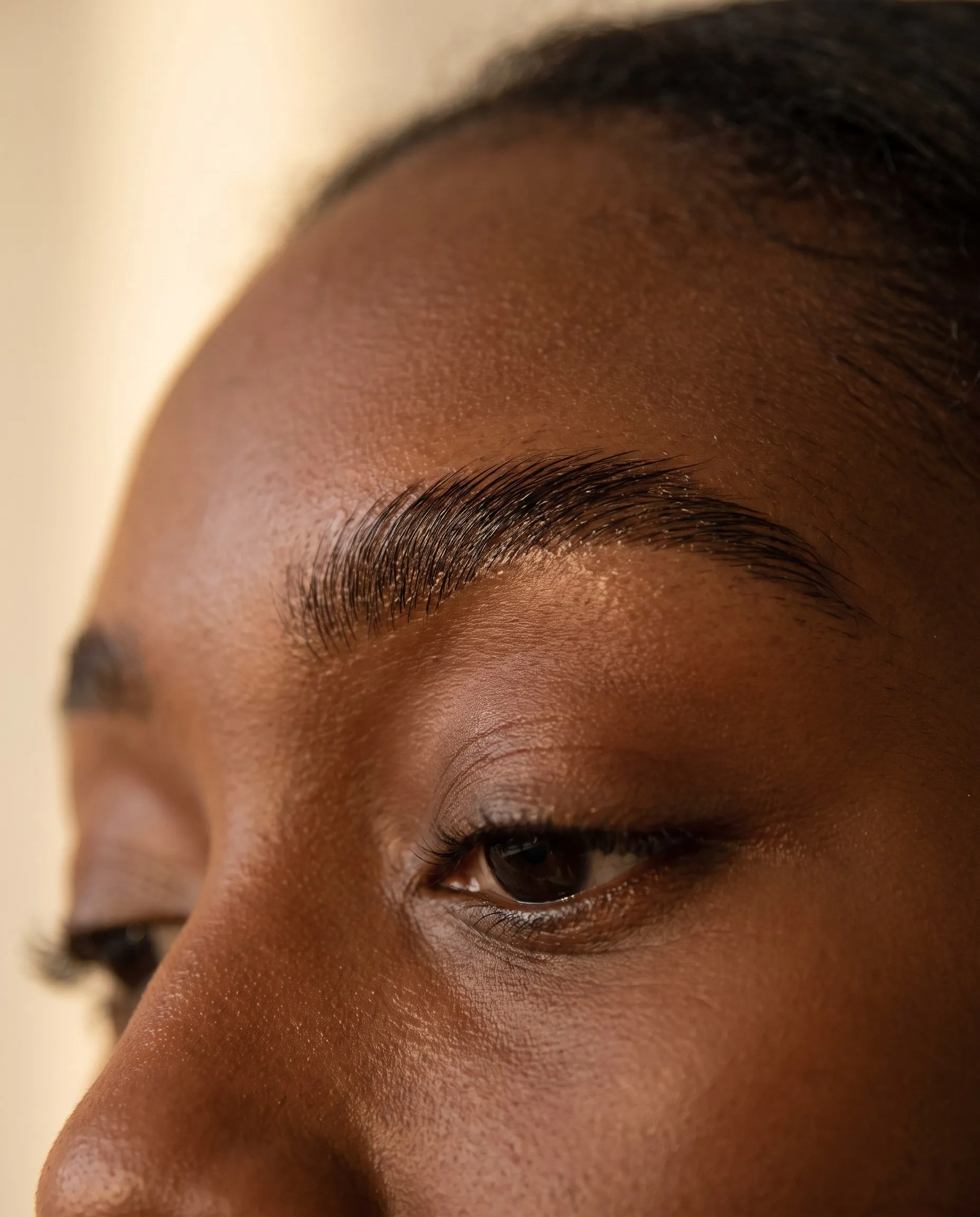 Close-up of a defined, freshly tinted dark brown eyebrow